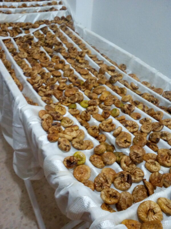 ⁦قطين بلدي (التين المجفف) - Dried figs⁩ - الصورة ⁦2⁩