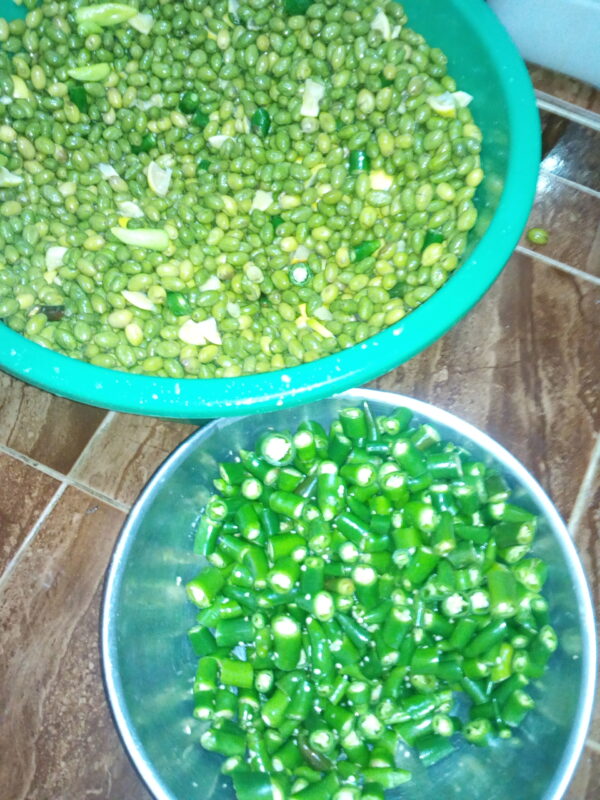 ⁦زيتون بلدي - Olive⁩ - الصورة ⁦2⁩
