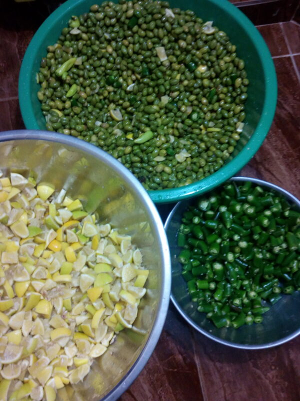 ⁦زيتون بلدي - Olive⁩ - الصورة ⁦3⁩