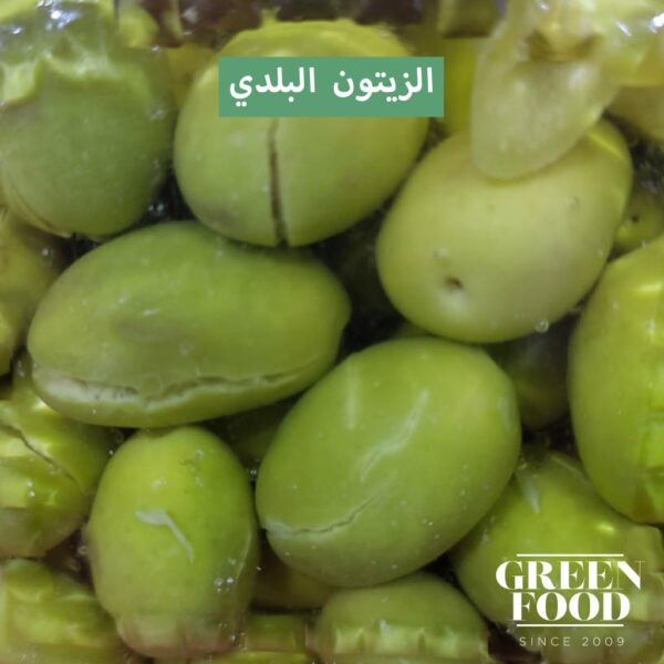 ⁦زيتون بلدي - Olive⁩ - الصورة ⁦5⁩
