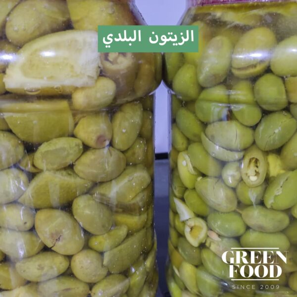 ⁦زيتون بلدي - Olive⁩ - الصورة ⁦6⁩