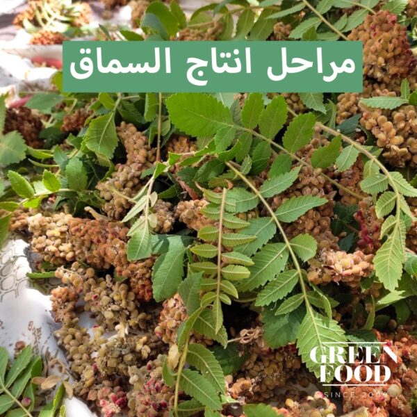 سماق حب – Sumac seeds