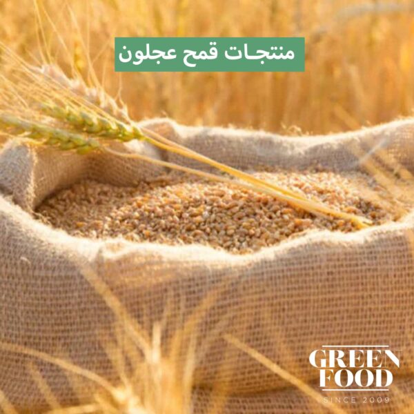 ⁦القمح البلدي⁩ - الصورة ⁦3⁩